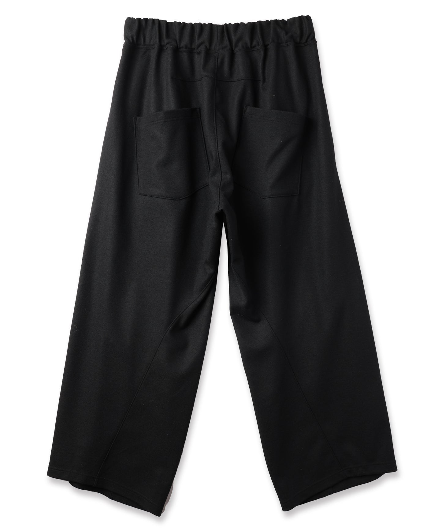 WIDE TUCK WOOL PANTS