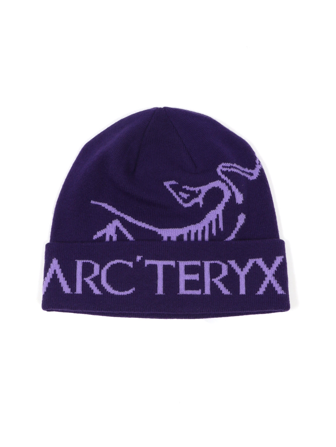 arc'teryx bird word toque グリーン　緑　ビーニー ARC'TERYX(アークテリクス) Bird Head Toque(バード ヘッド