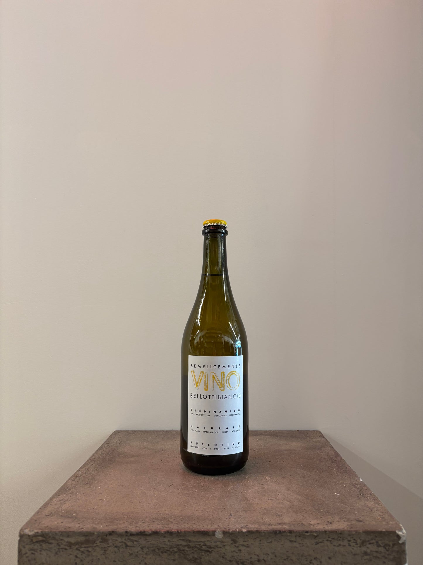 Bellotti Bianco 2023 (white) (Sagamiya)