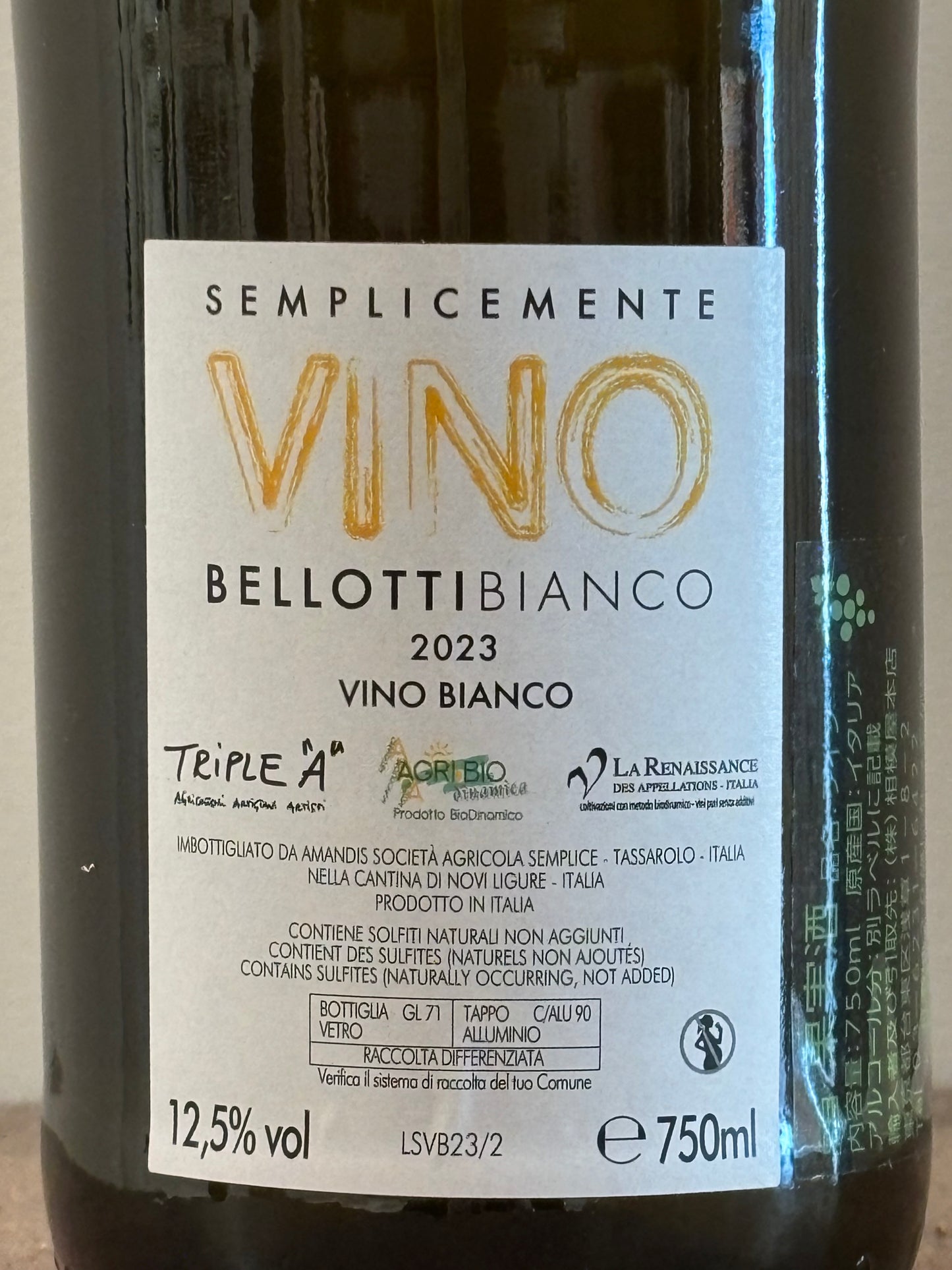 Bellotti Bianco 2023 (white) (Sagamiya)