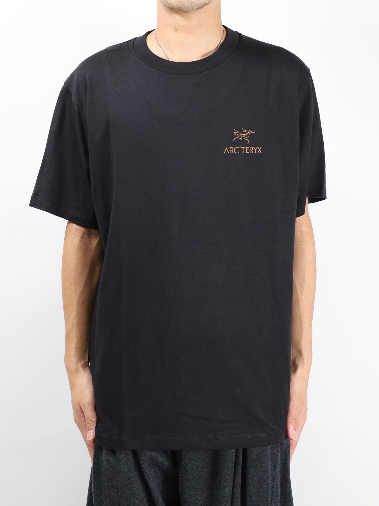 Kragg SL Cotton Bird Word SS Men's　tシャツ Shop Mens Kragg SL Cotton Bird Word SS - Alpine Blue / Stone Red