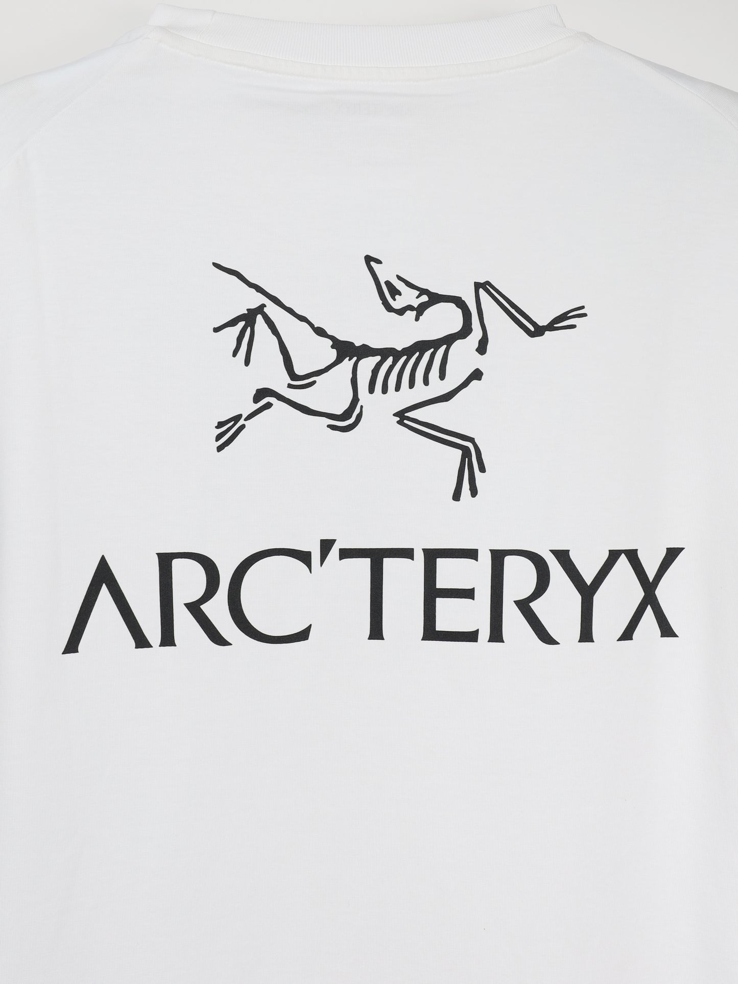 ARC'TERYX Kragg SL Cotton Bird Word SS Men's