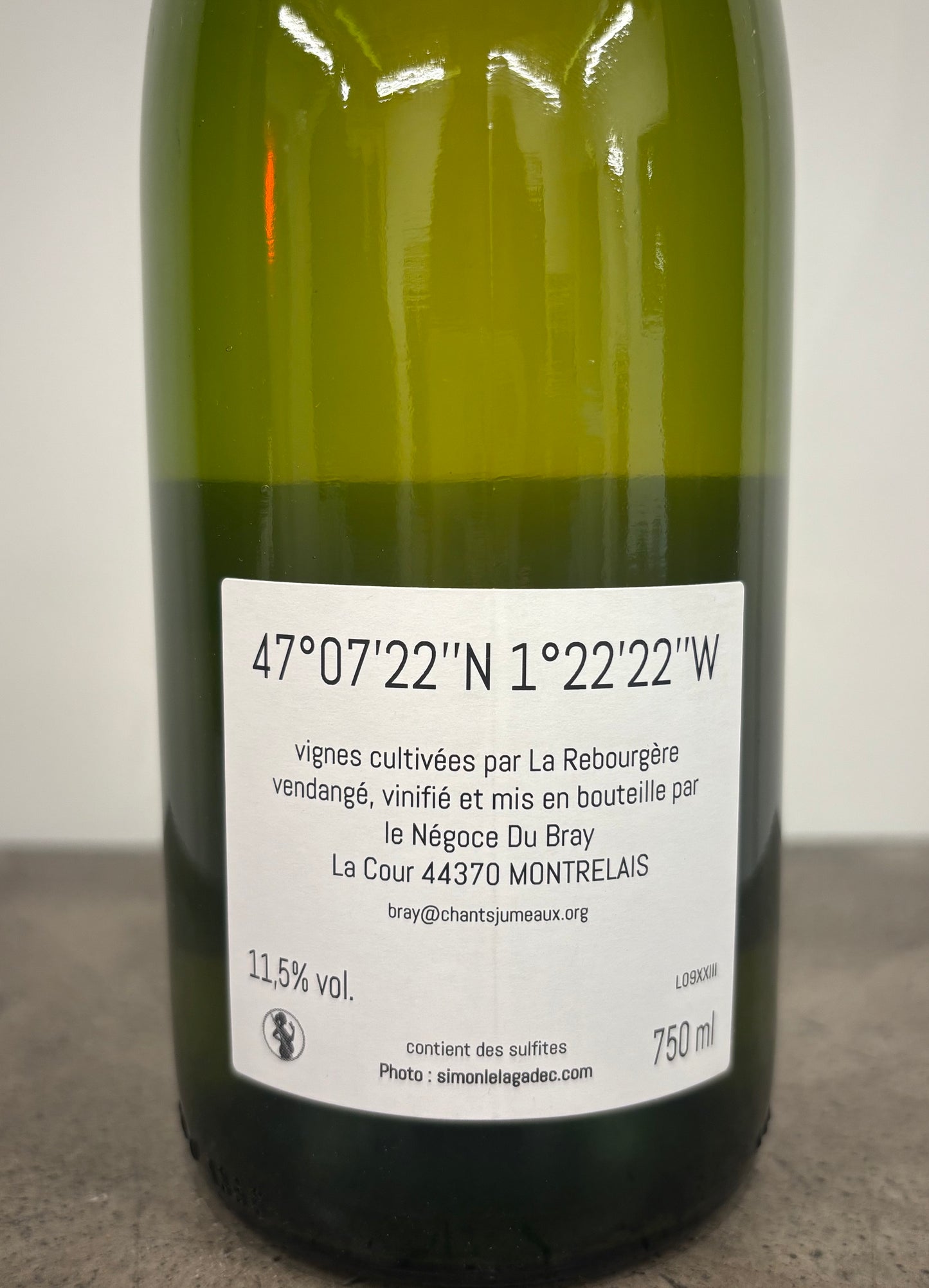 《翼》 VVMBXIII 2023(白)