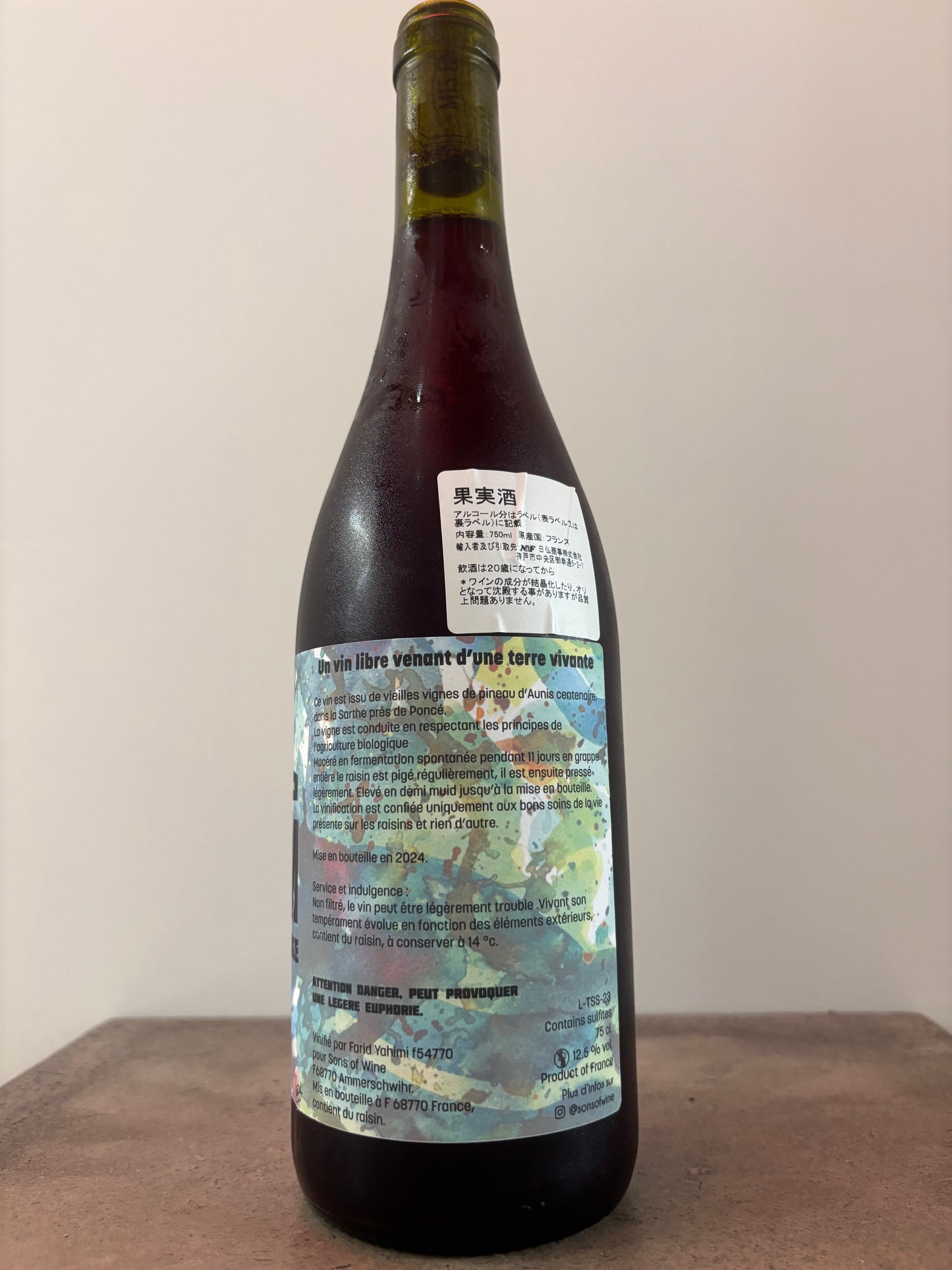 TSAR SYSTEM PINEAU D'AUNIS 2023(赤)