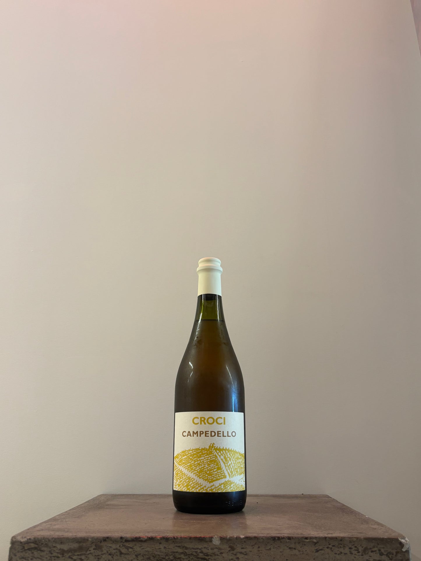 CAMPEDELLO 2022(白)