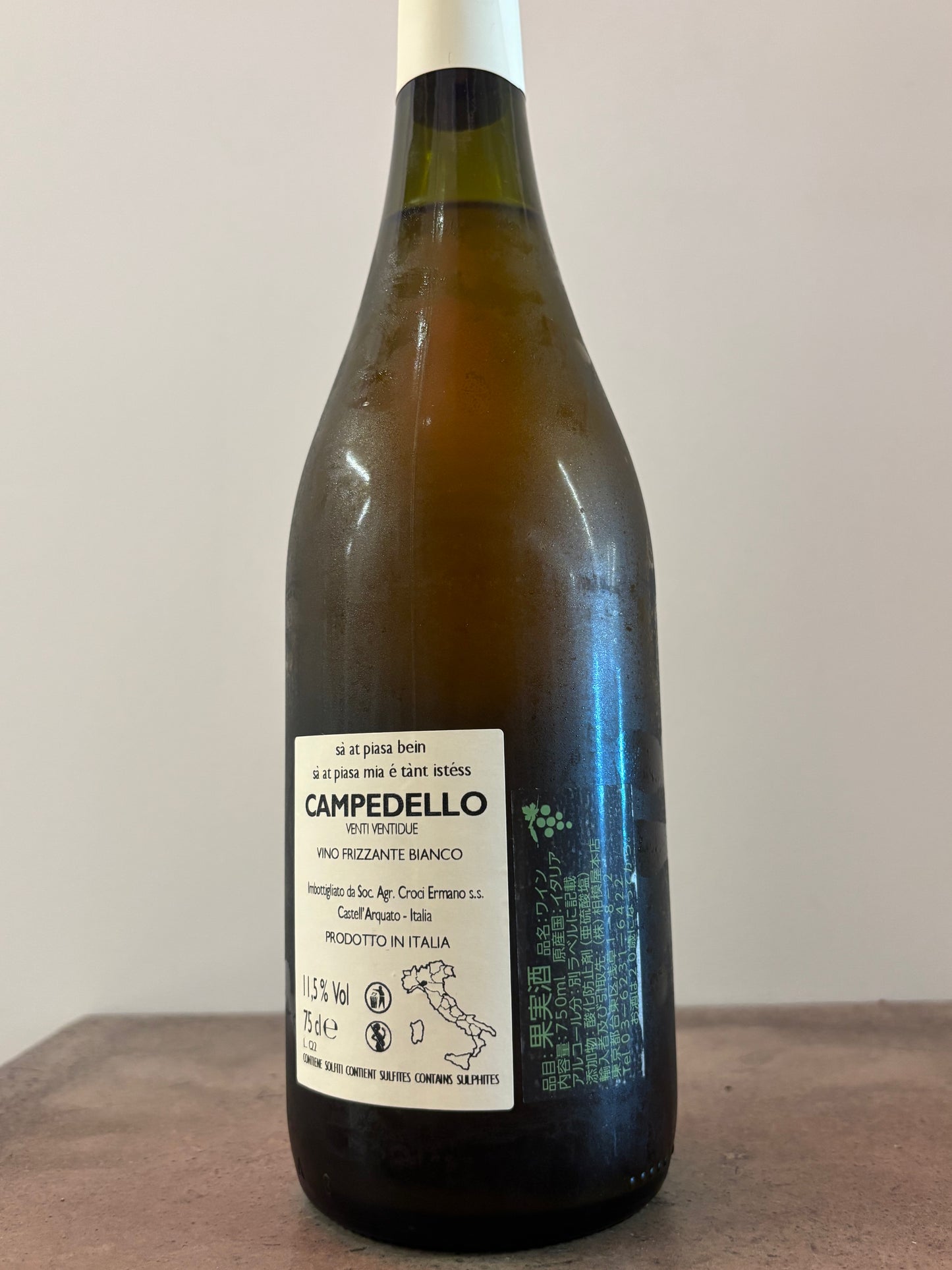 CAMPEDELLO 2022(白)
