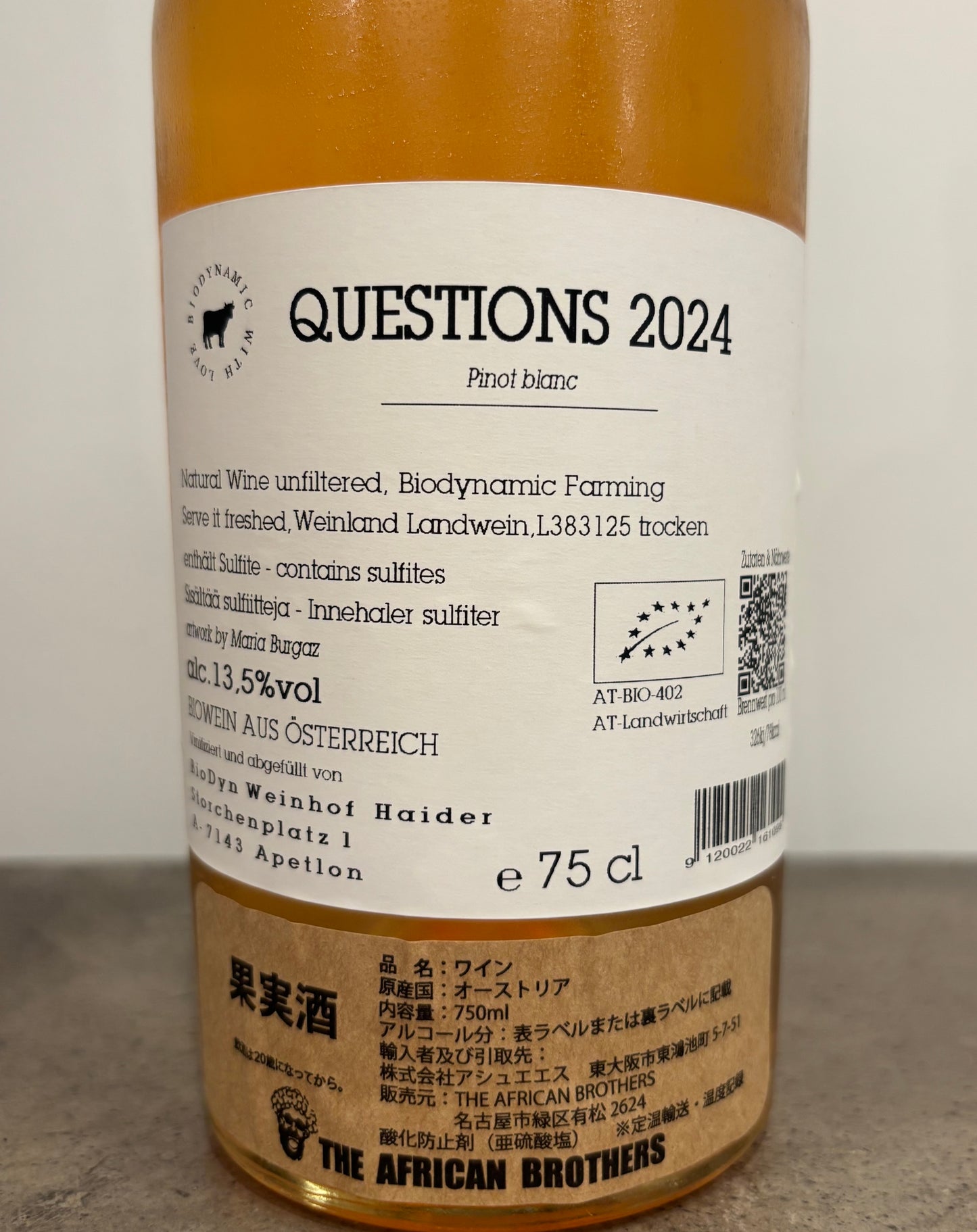 Questions? 2024(オレンジ)