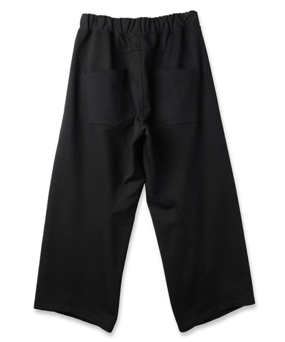 WIDE TUCK SWEAT PANTS