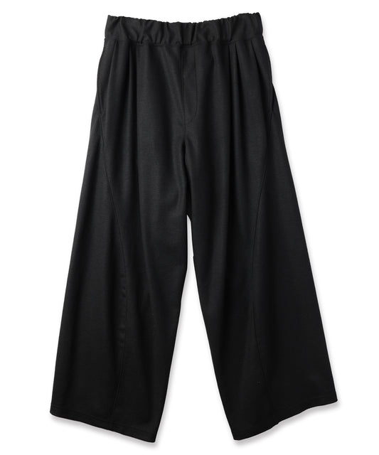 WIDE TUCK WOOL PANTS