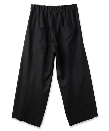 WIDE TUCK WOOL PANTS