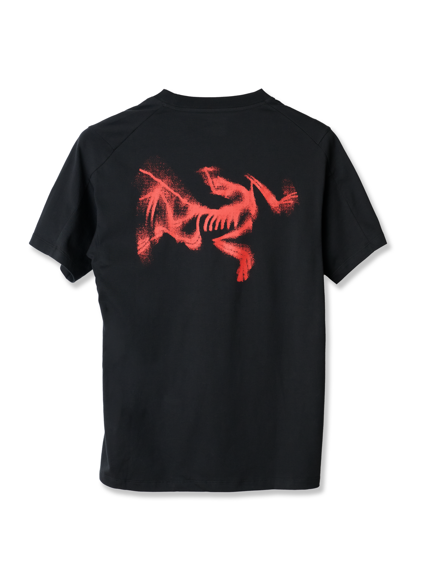 ARC'TERYX　Kragg SL Cotton Blurred Bird SS Men's