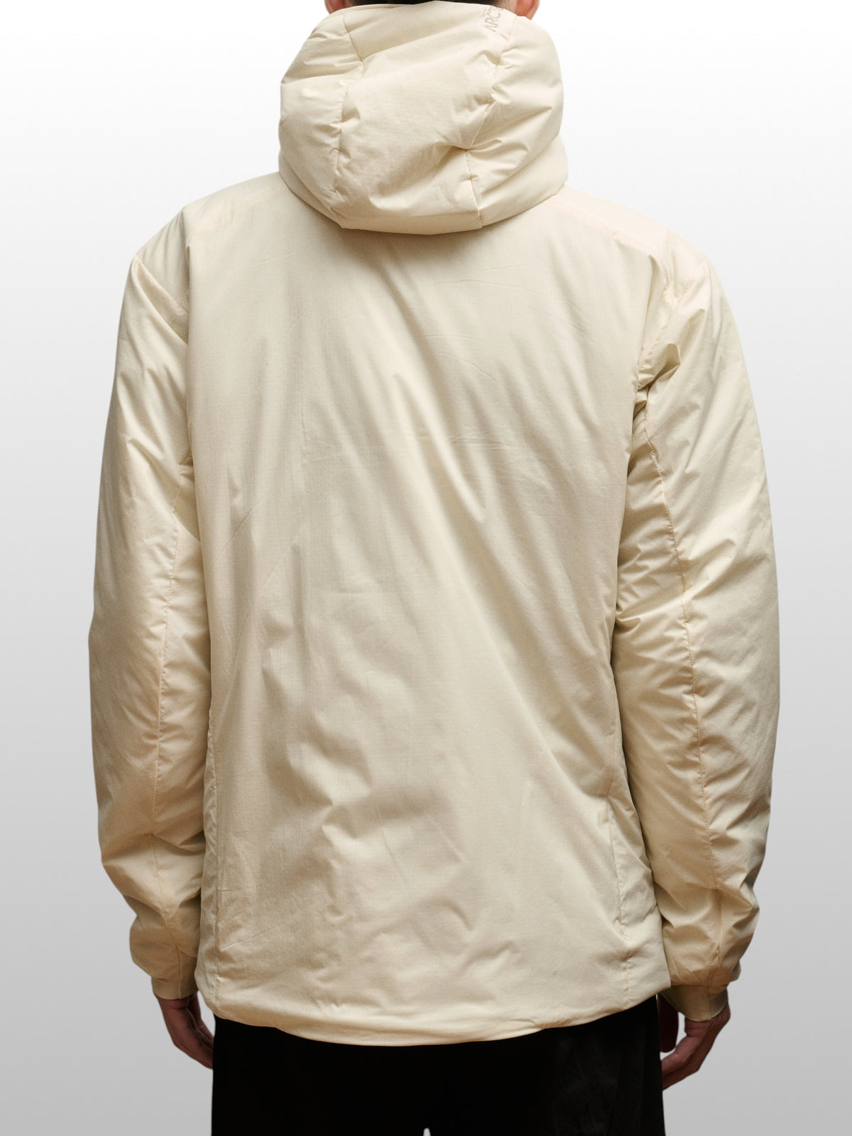 ARC'TERYX   Atom SV Hoody Men's