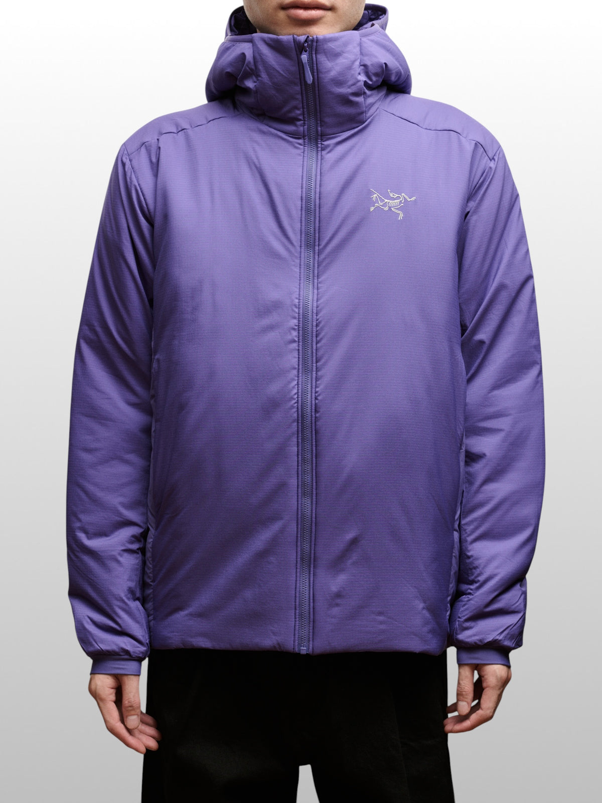 ARC'TERYX   Atom SV Hoody Men's