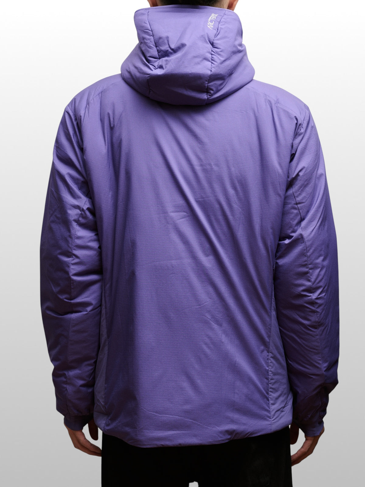 ARC'TERYX   Atom SV Hoody Men's
