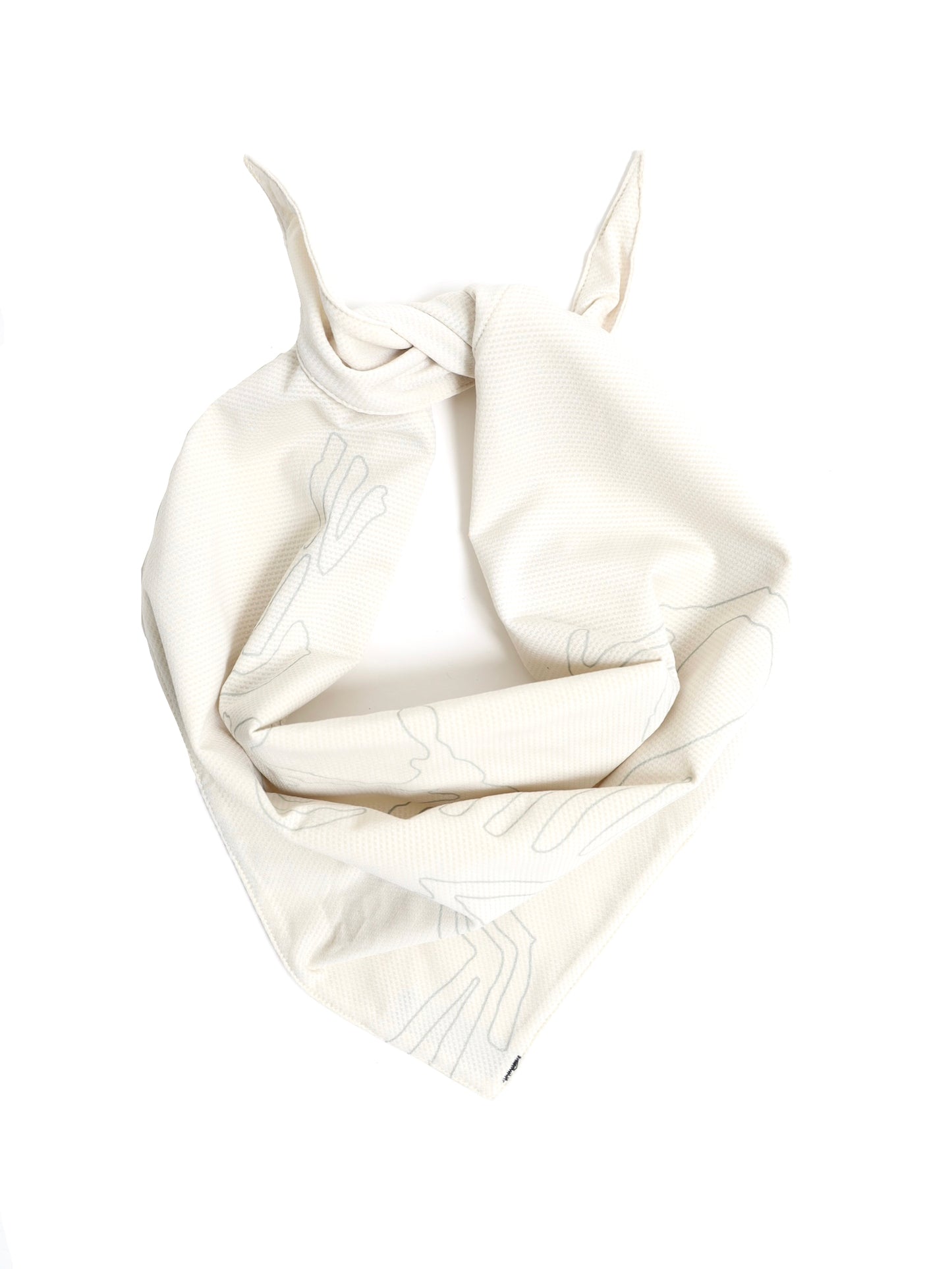 ARC'TERYX　Sinsolo Bandana