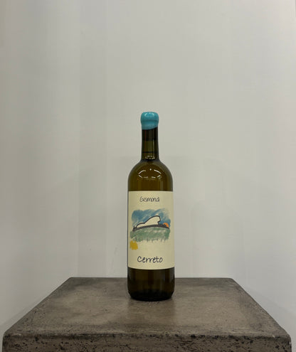 Cerreto 2024(白マセ)