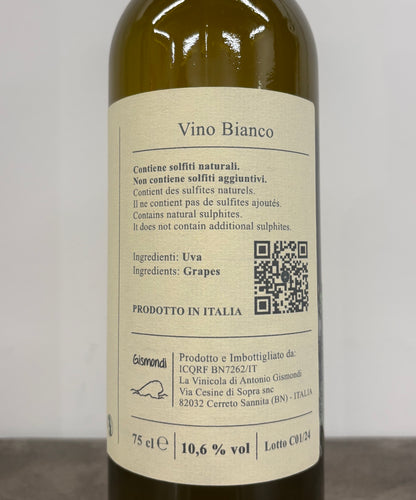 Cerreto 2024(白マセ)