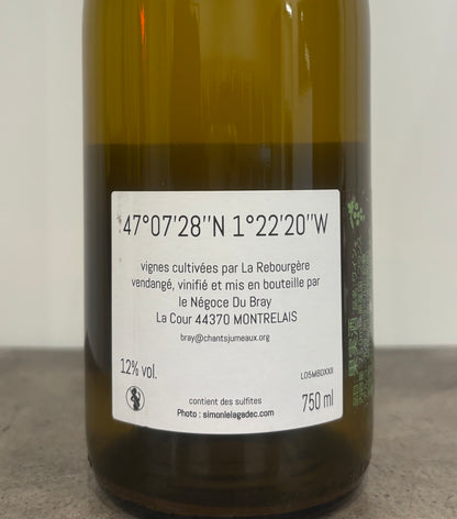 《波紋》 MBD2XXII 2022(白)