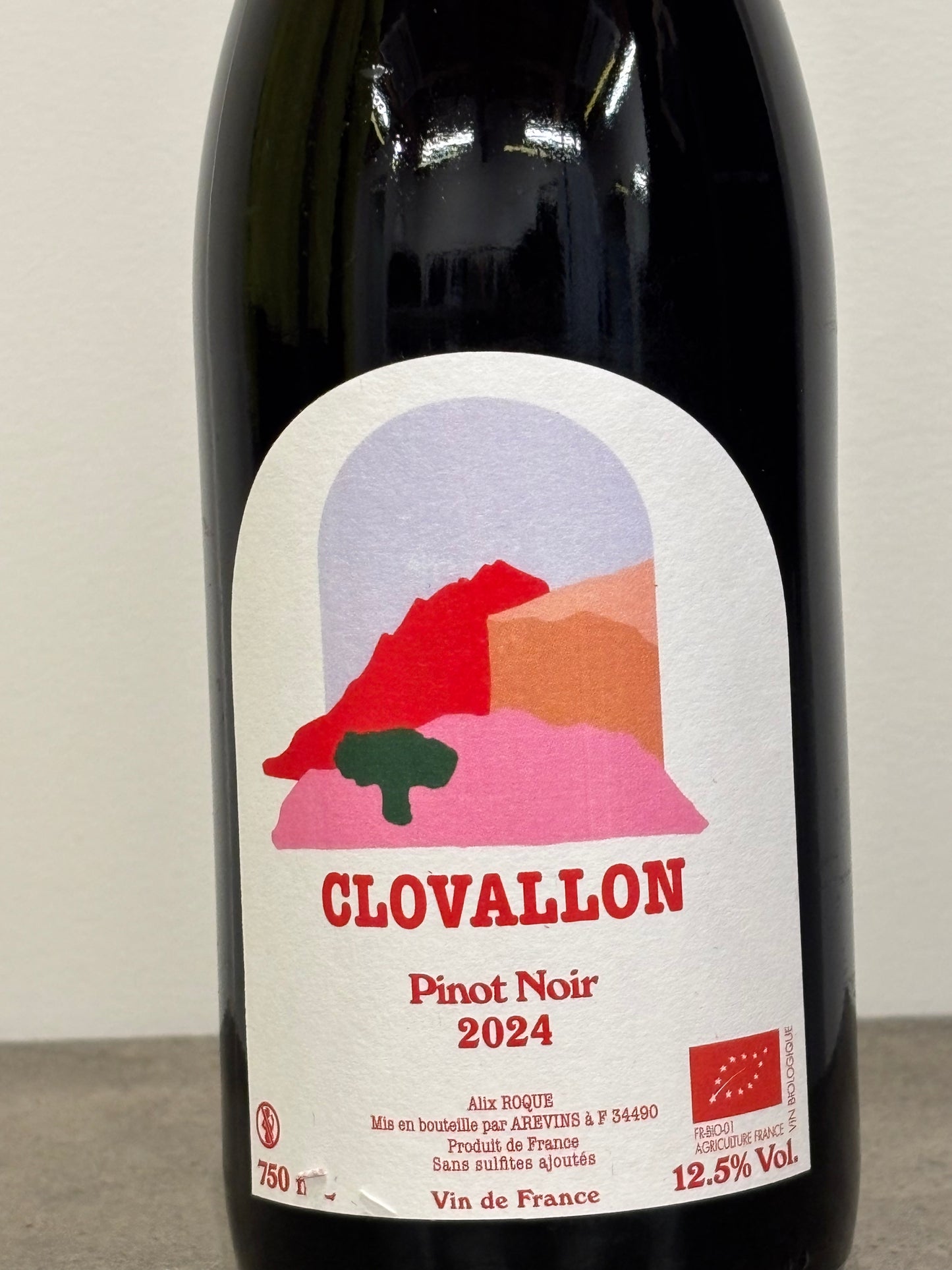 PINOT NOIR 2024 (赤)