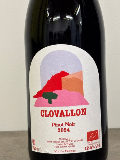 PINOT NOIR 2024 (赤)