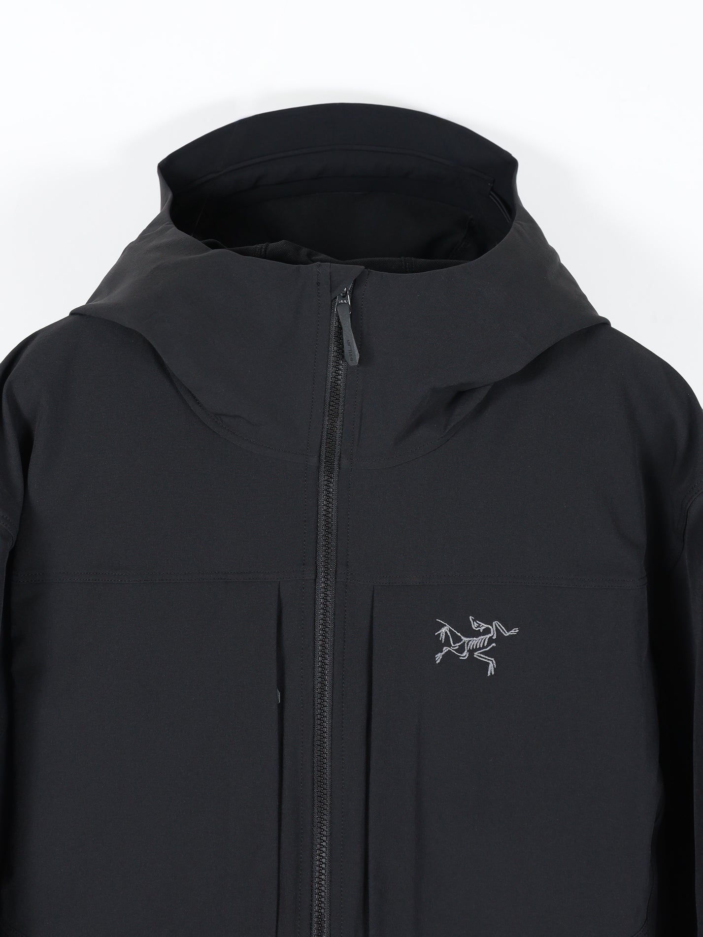 Gamma Hoody Men's