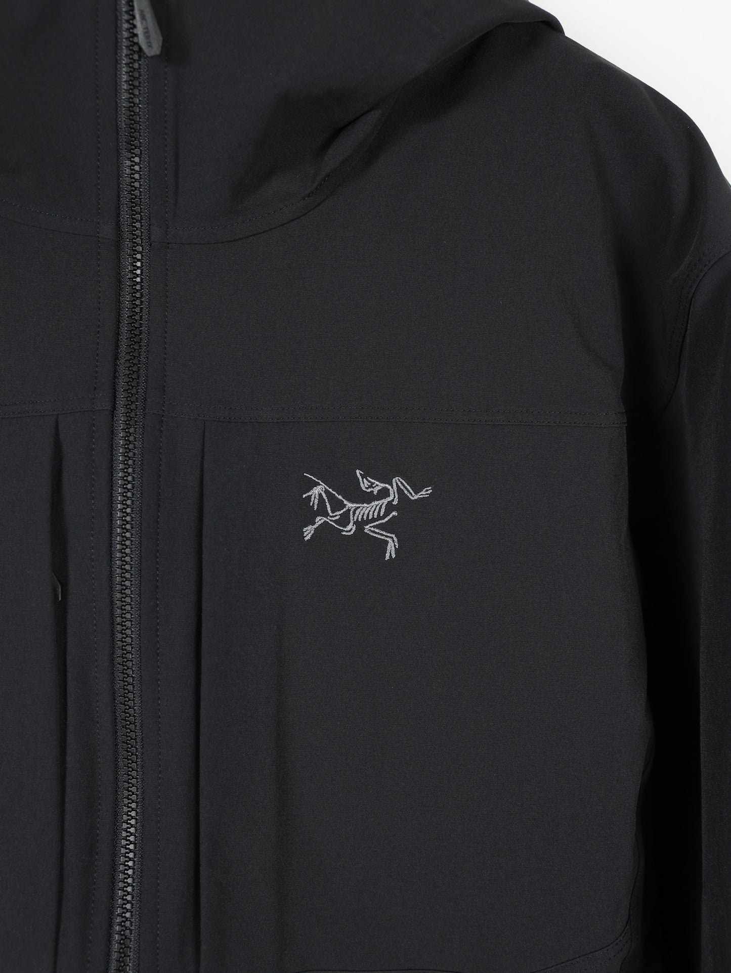 Gamma Hoody Men's