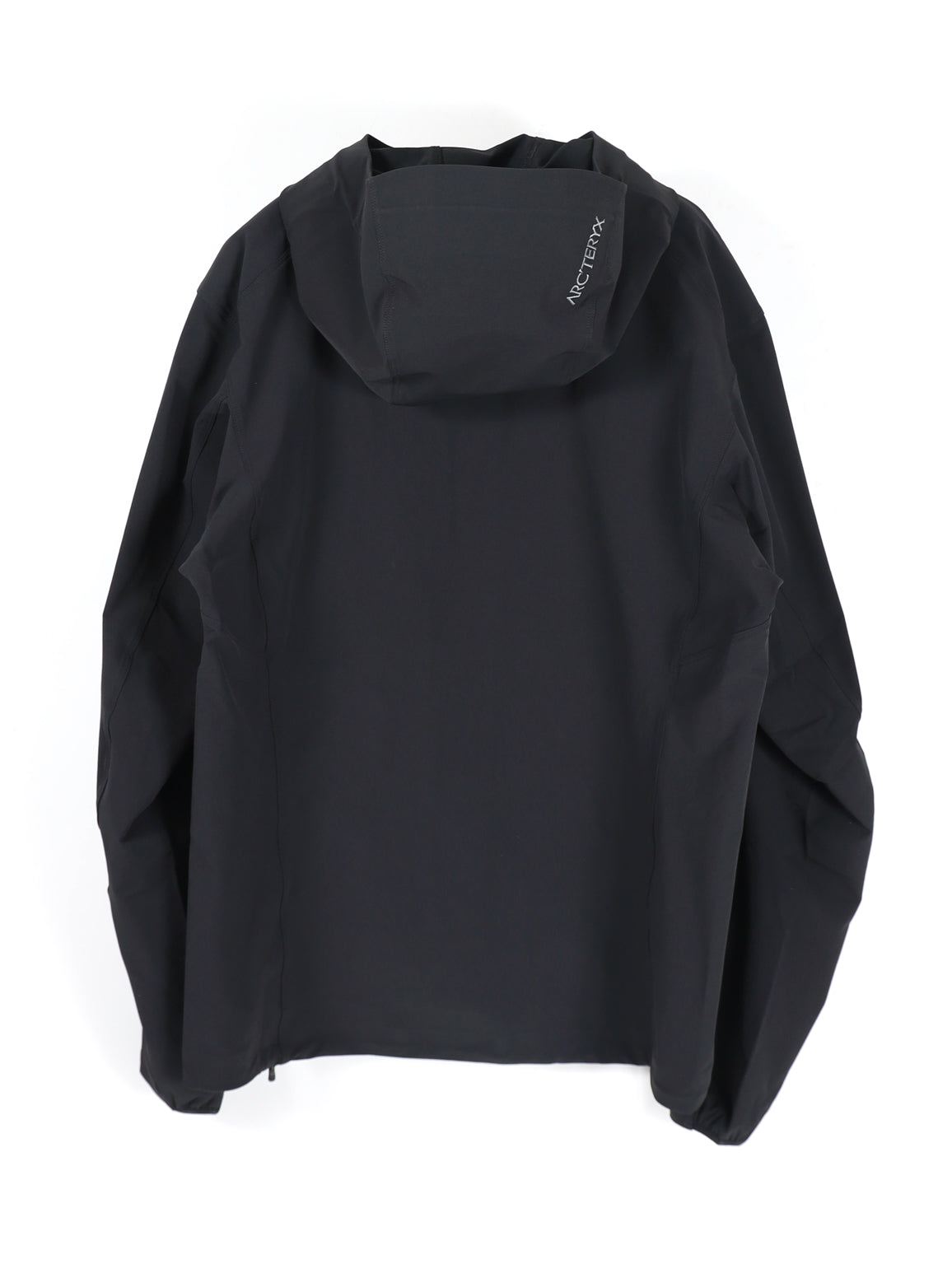 Gamma Hoody Men's