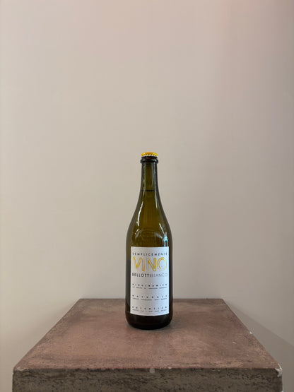 Bellotti Bianco 2023 (white) (Sagamiya)