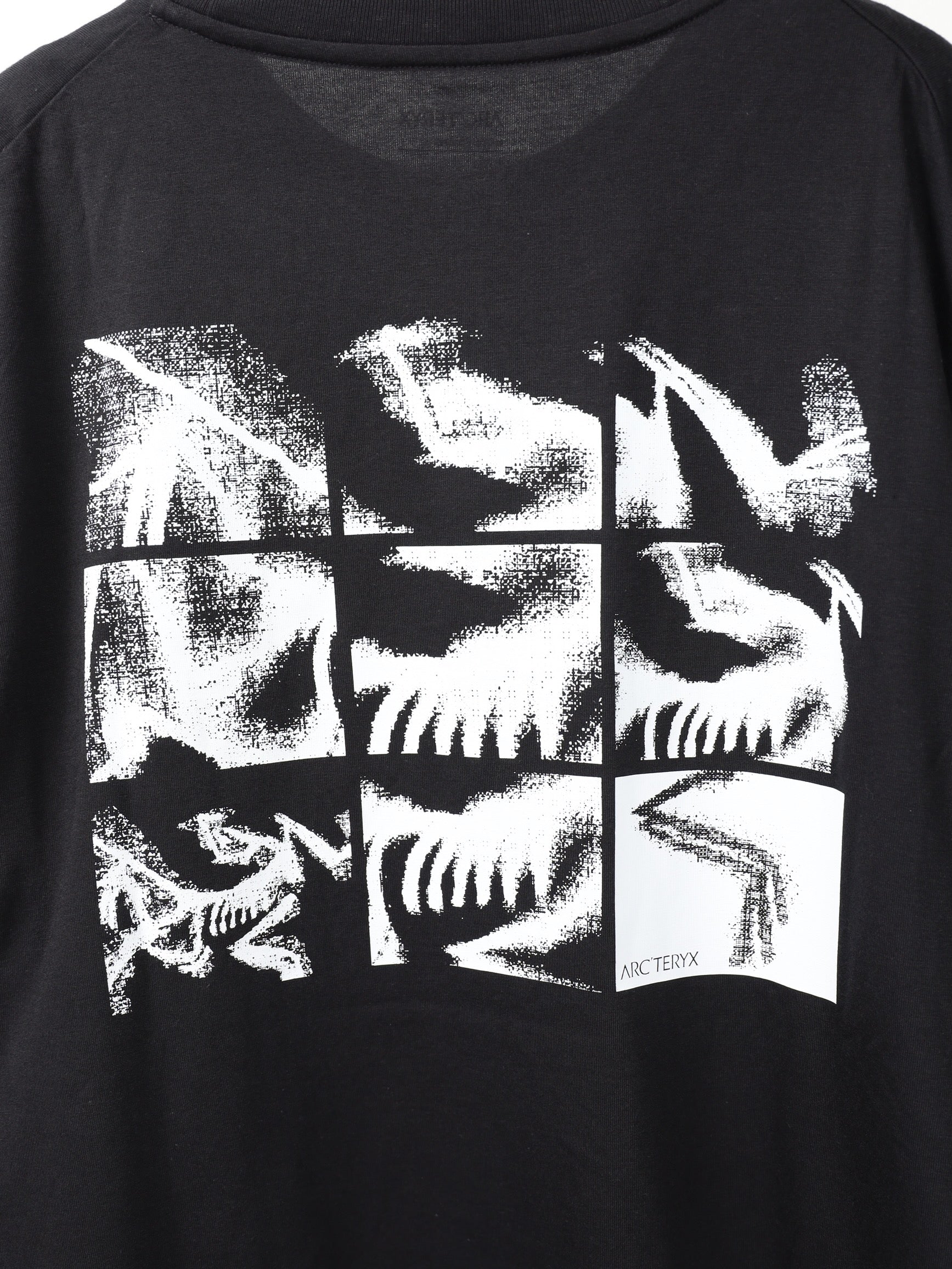 ARC'TERYX Kragg SL Cotton Bird Tile LS Men's – KIKUNOBU
