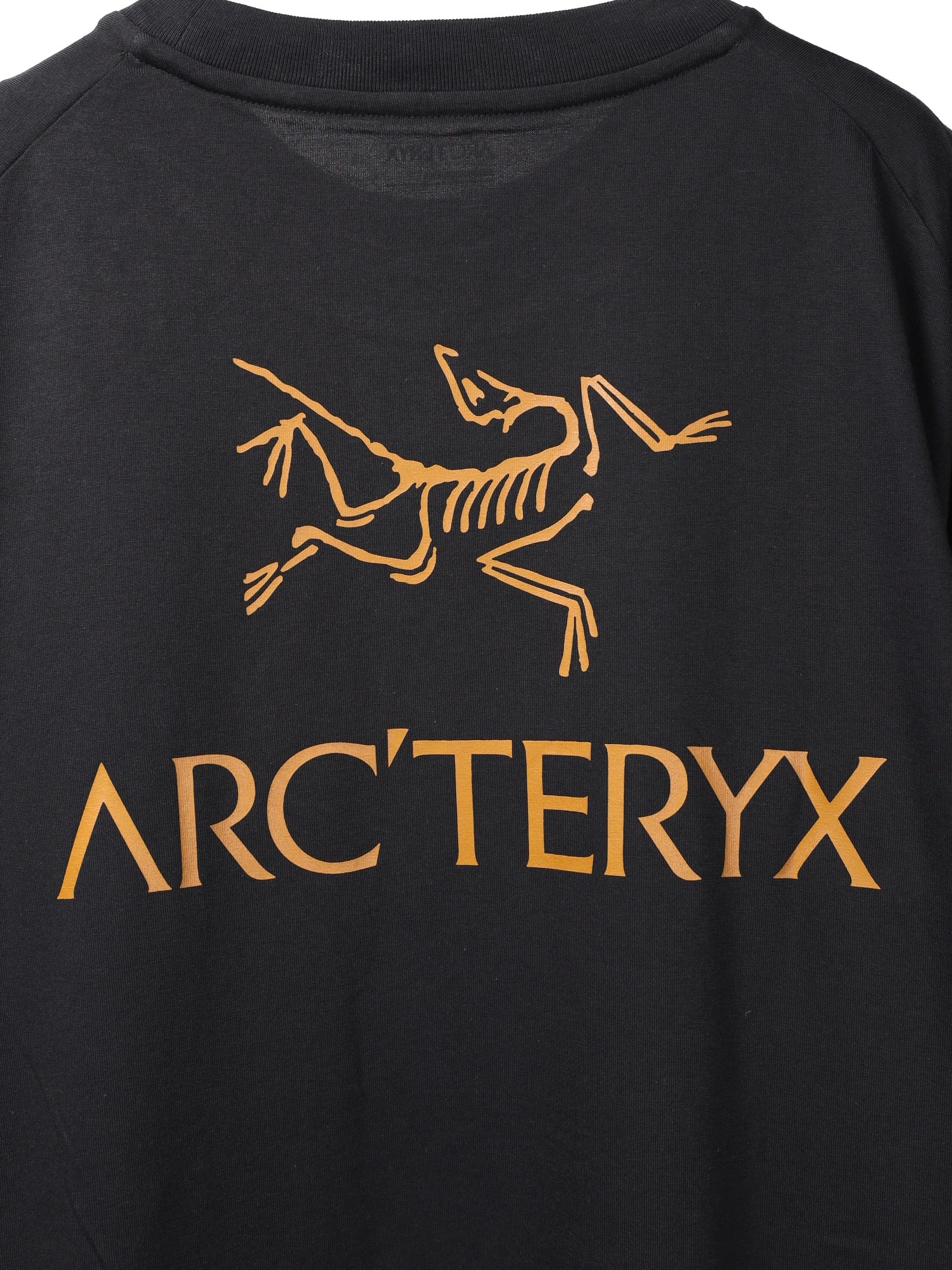 G_kiku。 ARC'TERYX Kragg SL Cotton Bird Word SS Men's – KIKUNOBU