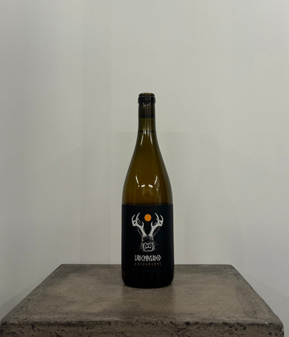 Unchained weiss NV(白)