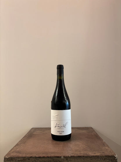 Pinot Noir 2022(赤)