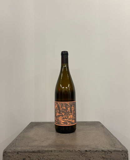 Riesling 2023(白/スキン)