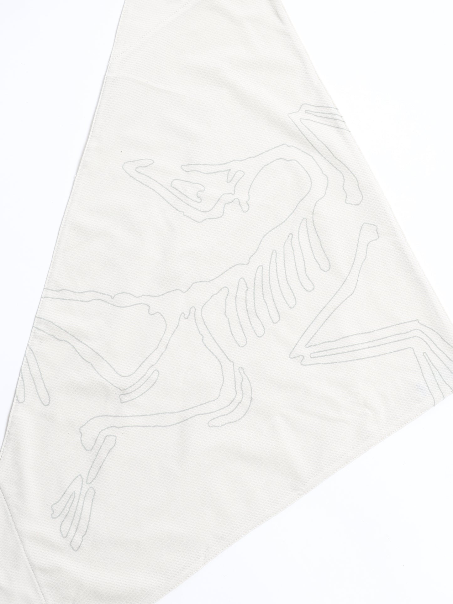 ARC'TERYX　Sinsolo Bandana