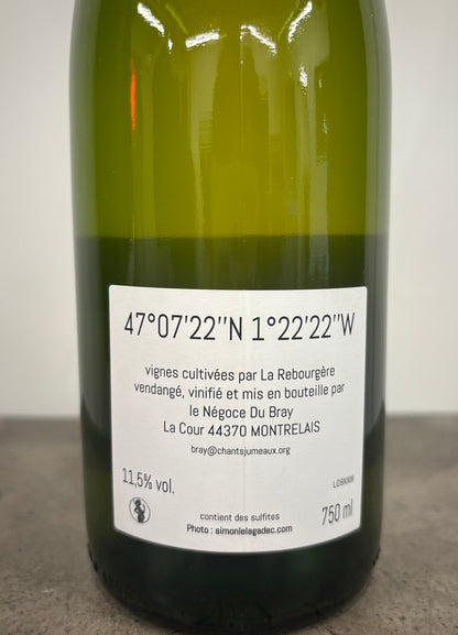 《翼》 VVMBXIII 2023(白)