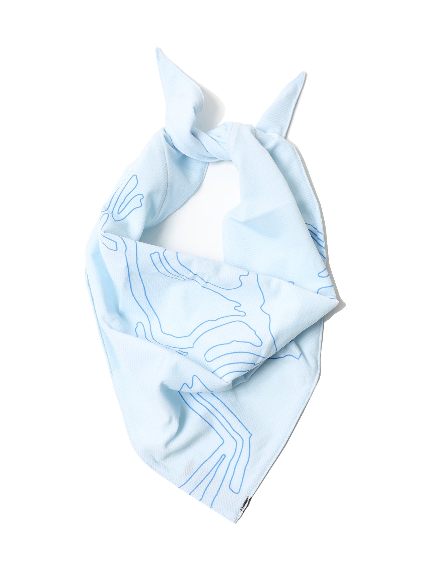 ARC'TERYX　Sinsolo Bandana