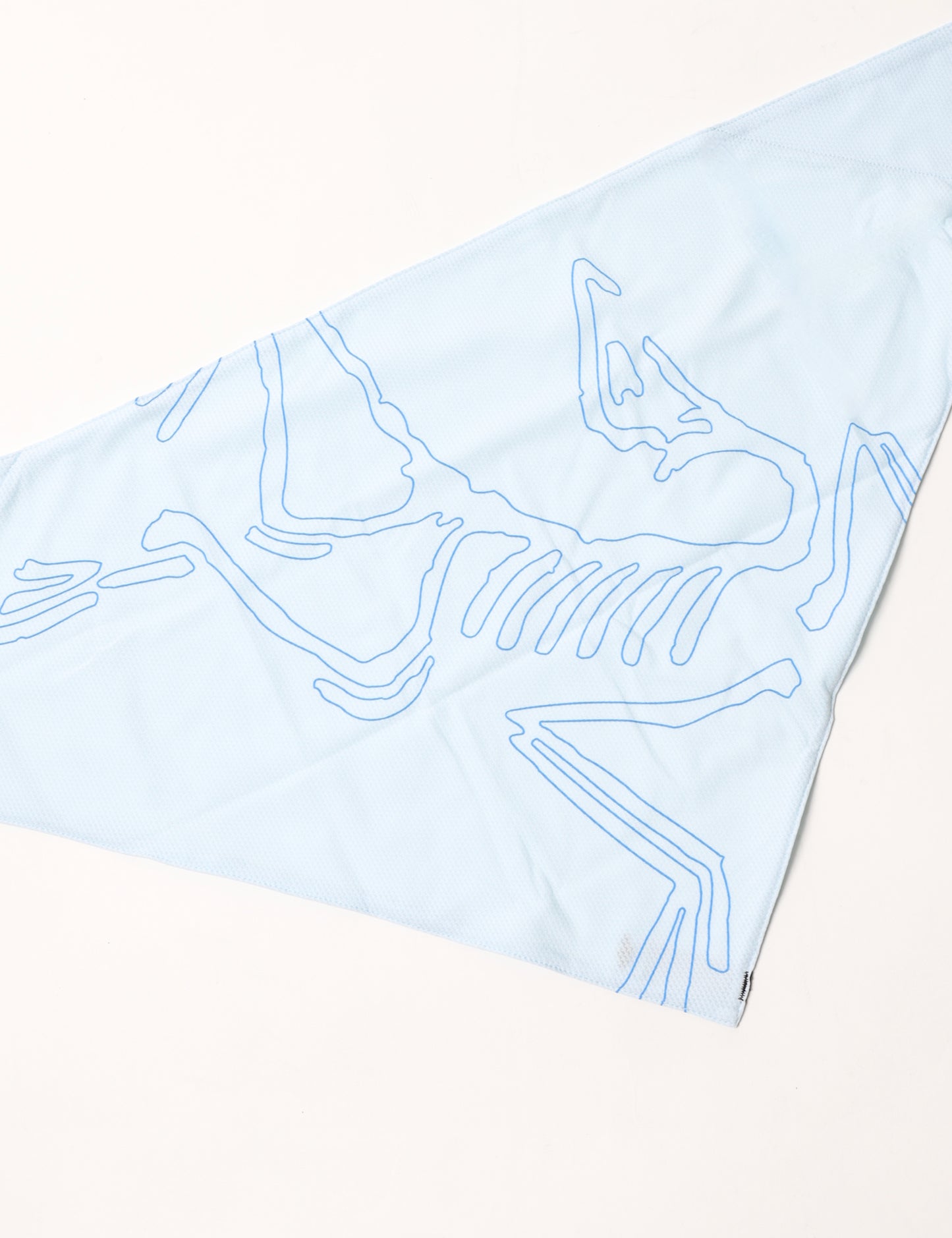 ARC'TERYX　Sinsolo Bandana