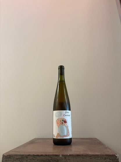 SKIN CONTACT RIESLING 2022(オレンジ)