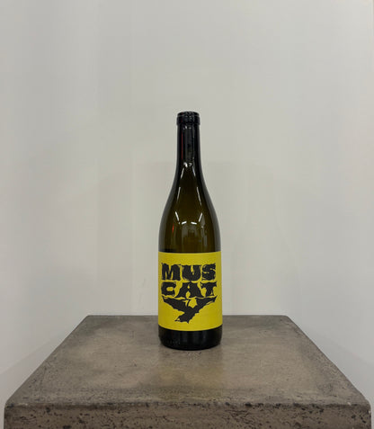 Muscaty N.V.(白)