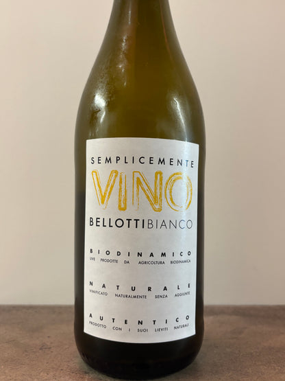 Bellotti Bianco 2023 (white) (Sagamiya)