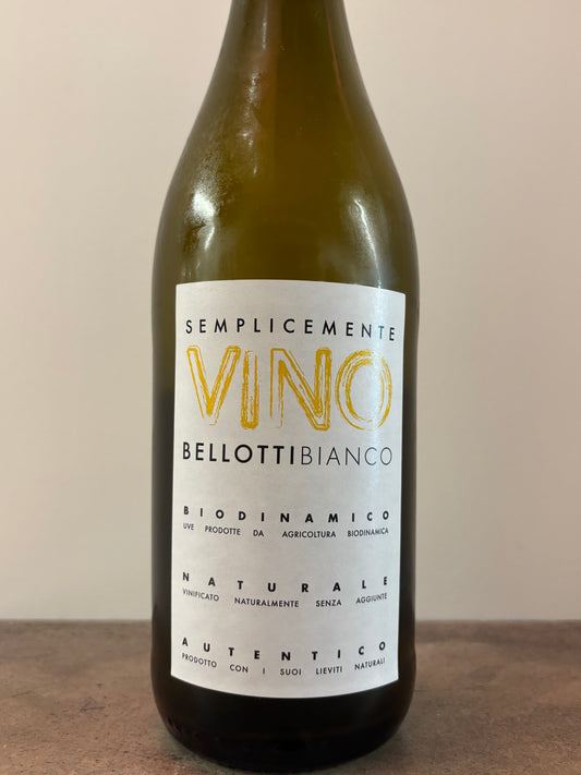 Bellotti Bianco 2023 (white) (Sagamiya)