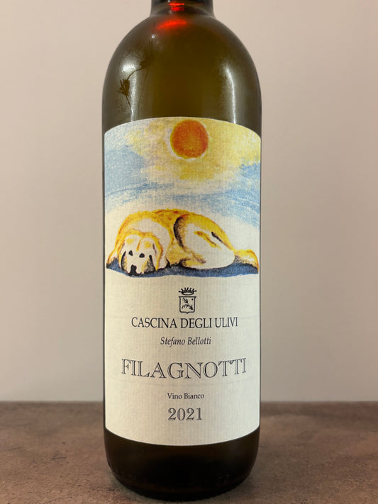 Filagnotti 2021 Filagnotti 2021 (White) (Sagamiya)