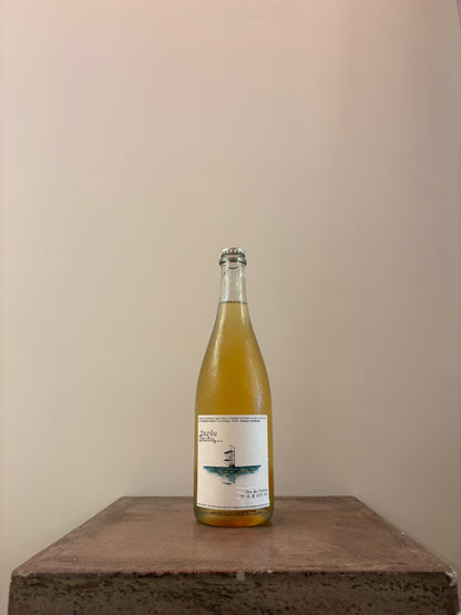 One Harvest Evening Rose 2023 One Harvest Evening (Rose) (TAB)
