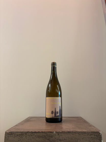 One Harvest Evening Rose 2023 One Harvest Evening (Rose) (TAB)