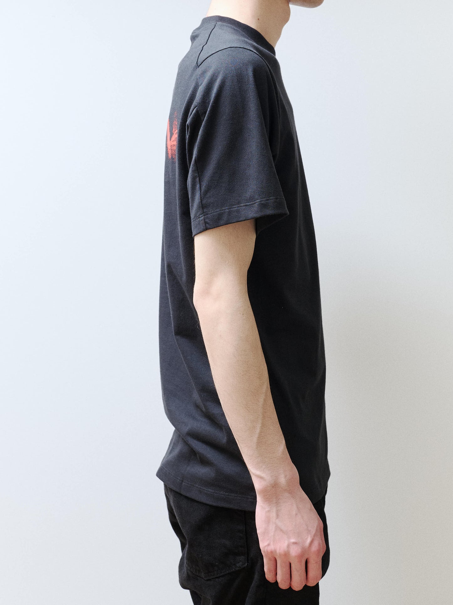 ARC'TERYX　Kragg SL Cotton Blurred Bird SS Men's