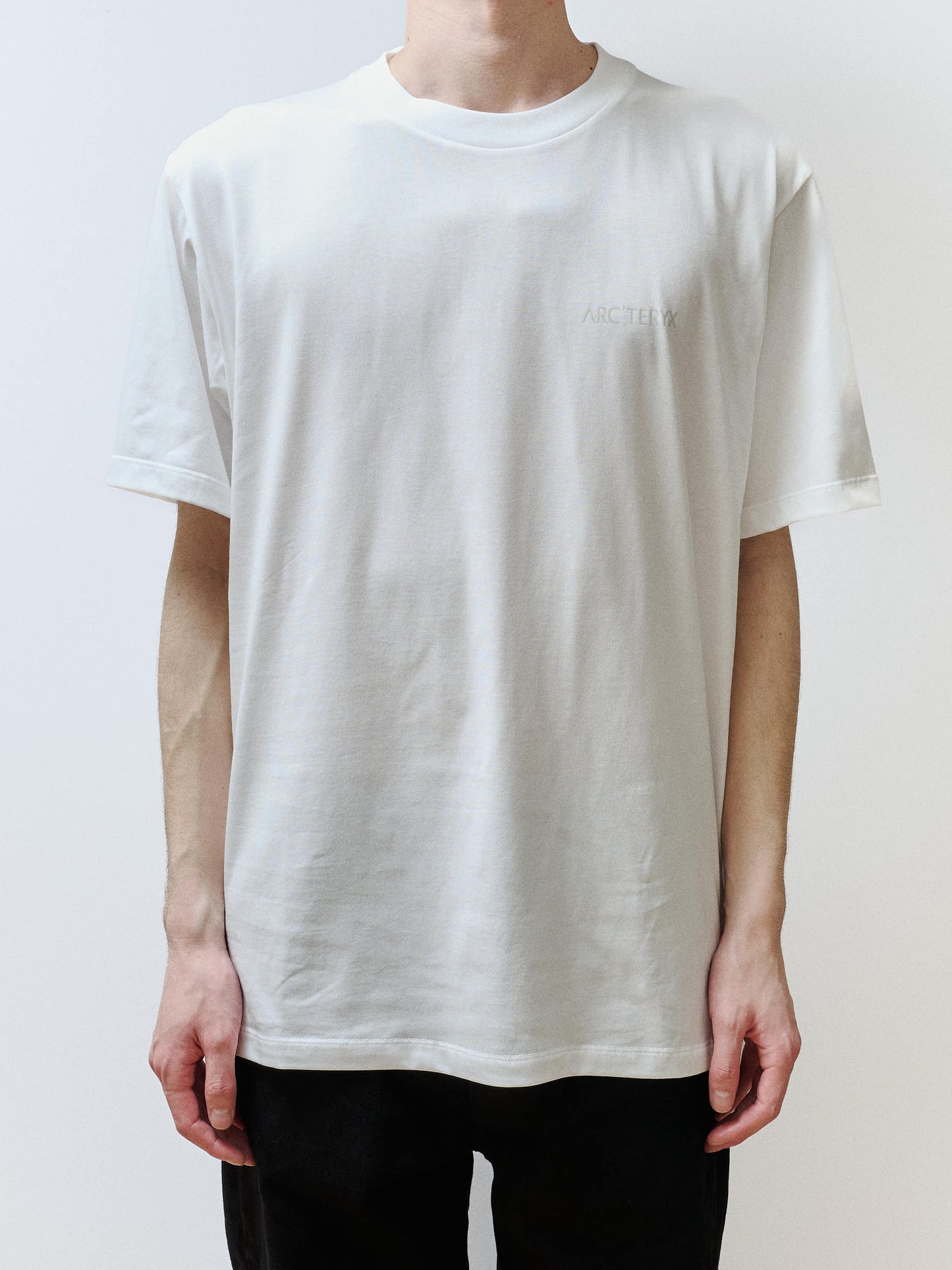 ARC'TERYX　Kragg SL Cotton Blurred Bird SS Men's