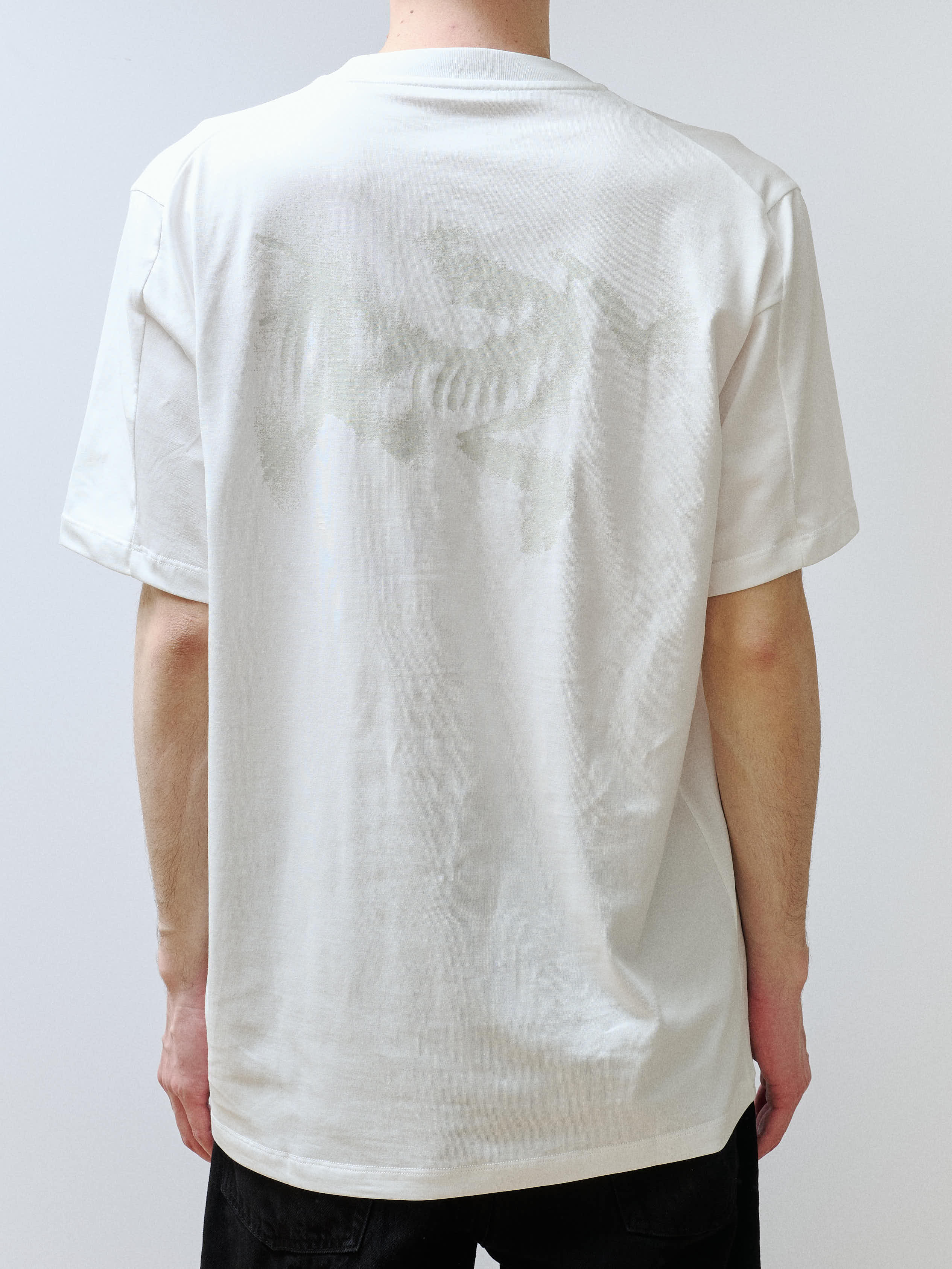 ARC'TERYX Kragg SL Cotton Blurred Bird SS Men's – KIKUNOBU