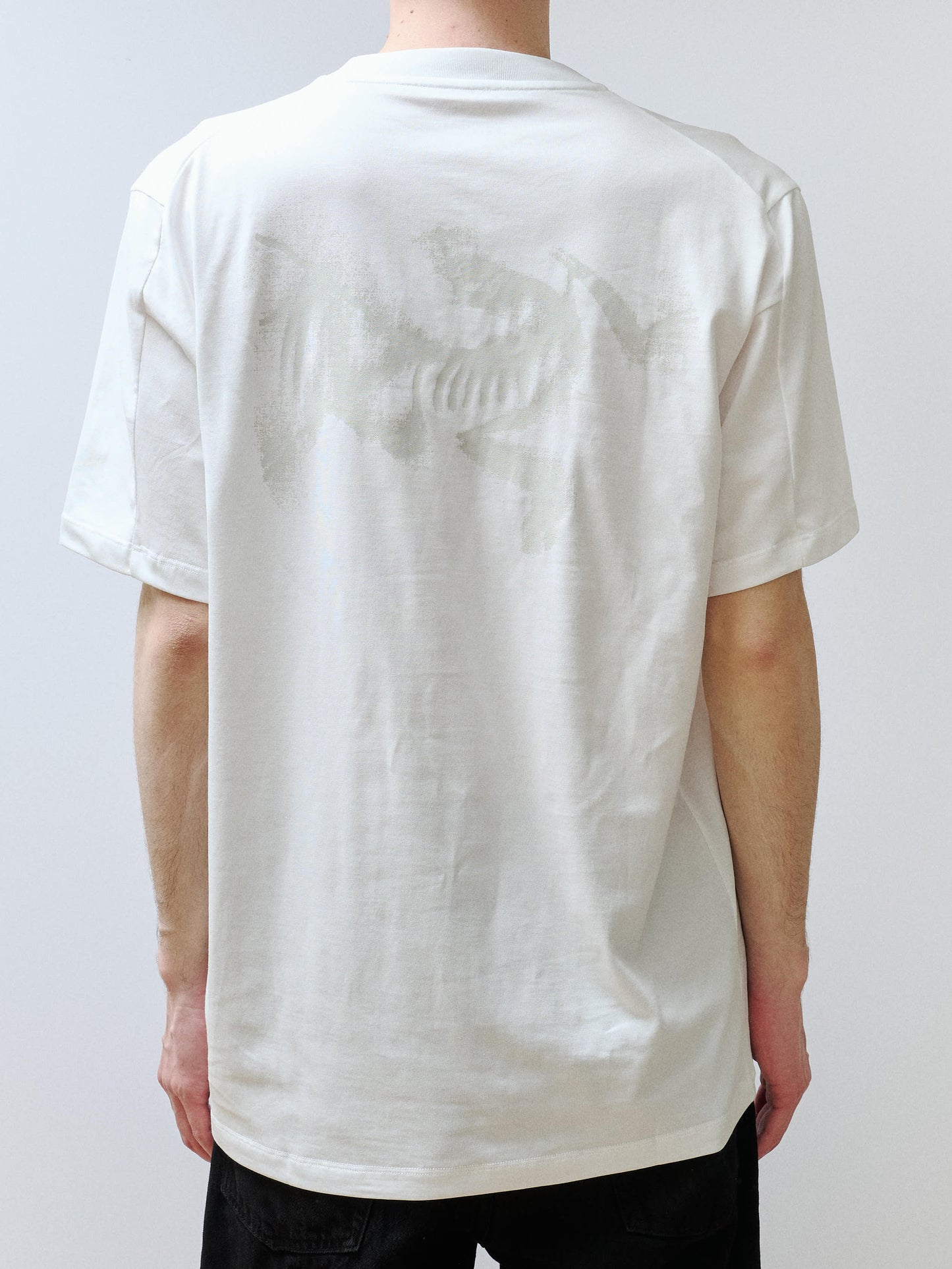 ARC'TERYX　Kragg SL Cotton Blurred Bird SS Men's