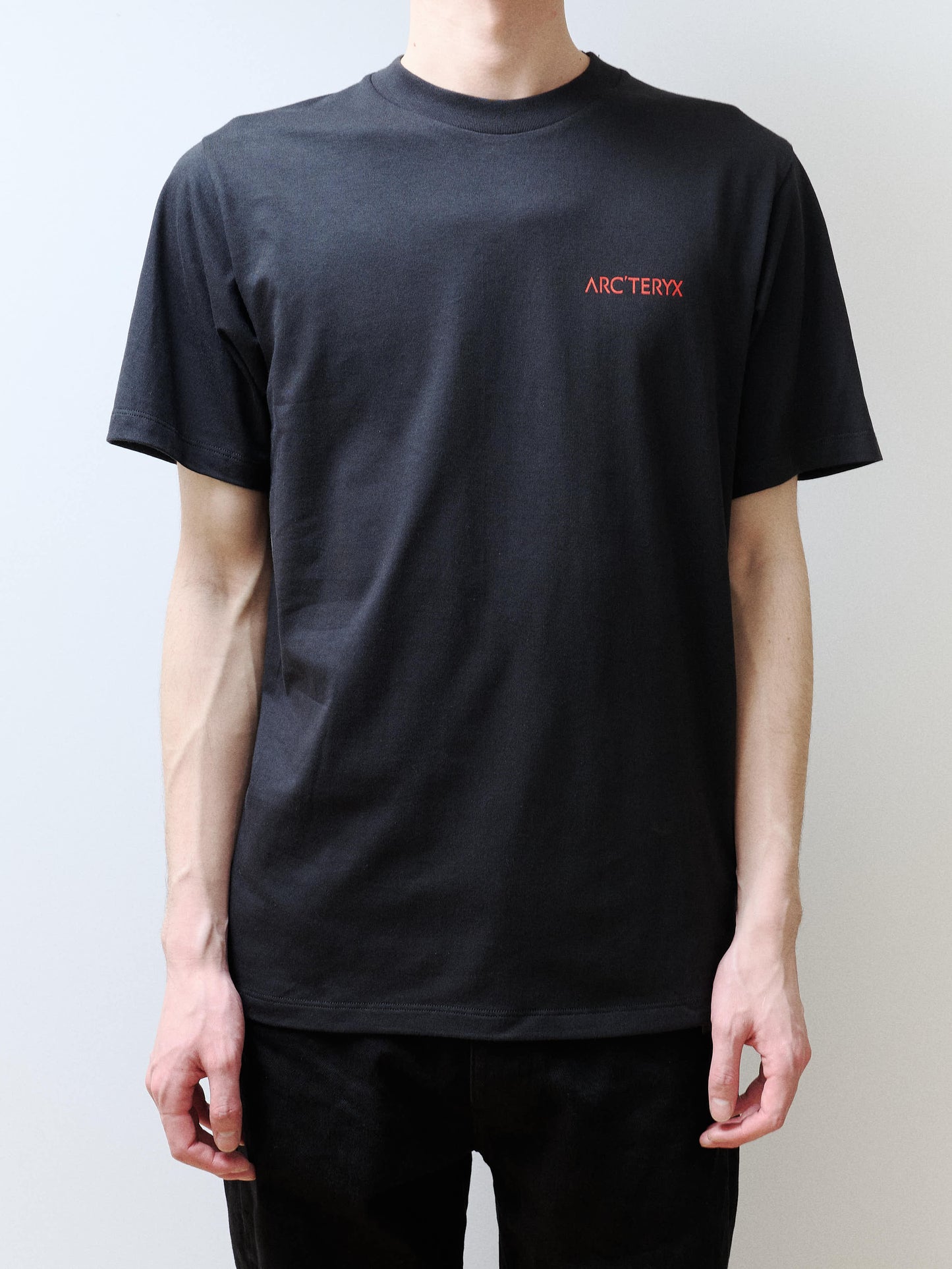 ARC'TERYX　Kragg SL Cotton Blurred Bird SS Men's